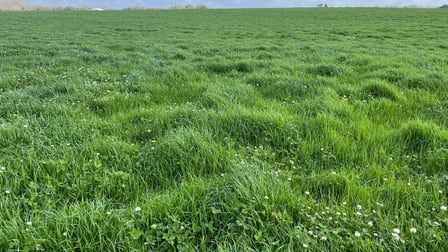 Caluka Farms, 345 Healy Road Narrikup WA 6326 - Image 2