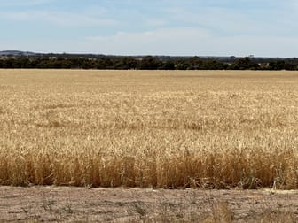 13181 Rabbit Proof Fence Road Nyabing WA 6341 - Image 1