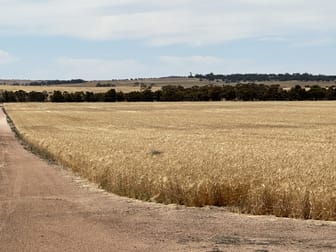 13181 Rabbit Proof Fence Road Nyabing WA 6341 - Image 2