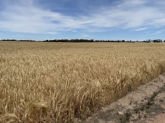 13181 Rabbit Proof Fence Road Nyabing WA 6341 - Image 3