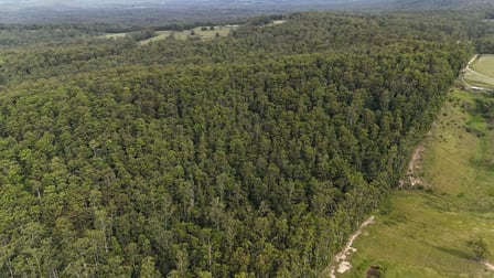 807 Wattley Hill Road Wootton NSW 2423 - Image 1