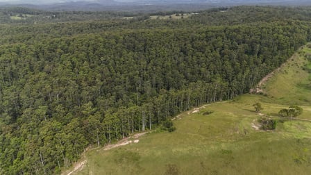 807 Wattley Hill Road Wootton NSW 2423 - Image 3