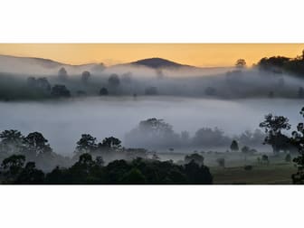 102 Waterloo Road Firefly NSW 2429 - Image 2