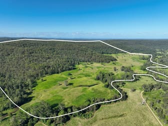 2374 Upper Mongogarie Road Upper Mongogarie NSW 2470 - Image 1