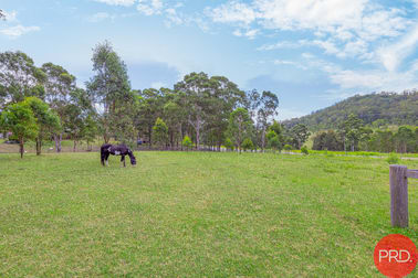 1657 Maitland Vale Road Lambs Valley NSW 2335 - Image 3