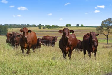 " Alcheringa " Wandoan QLD 4419 - Image 2