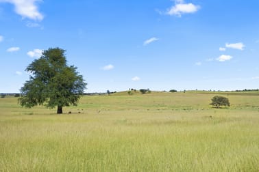 " Alcheringa " Wandoan QLD 4419 - Image 3