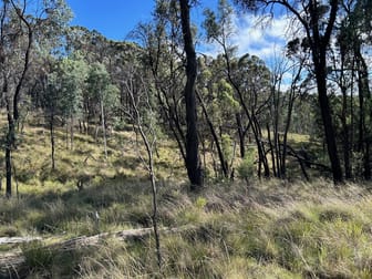 114 Nangawooka Road Mudgee NSW 2850 - Image 1