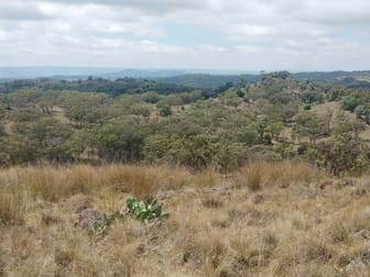 Upper Bingara Rd Bingara NSW 2404 - Image 2