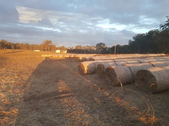206 Mondure Crossing Road Glan Devon QLD 4615 - Image 2