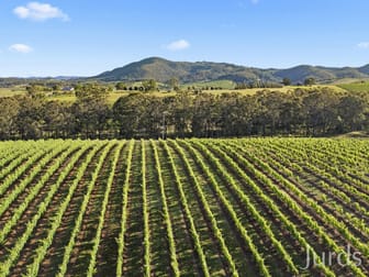 658 De Beyers Road Pokolbin NSW 2320 - Image 3