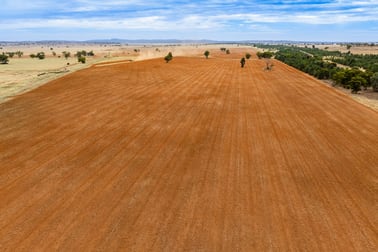 Barellan Road Narrandera NSW 2700 - Image 1