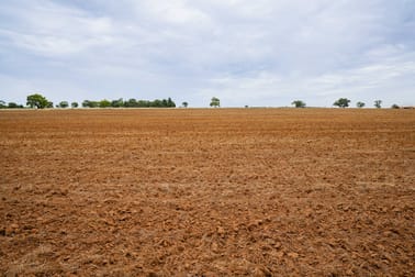 Barellan Road Narrandera NSW 2700 - Image 3