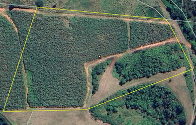 36 Bonso Access Drive East Russell QLD 4861 - Image 1