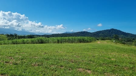36 Bonso Access Drive East Russell QLD 4861 - Image 3