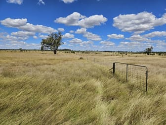 6956 Dunkeld Road Roma QLD 4455 - Image 3