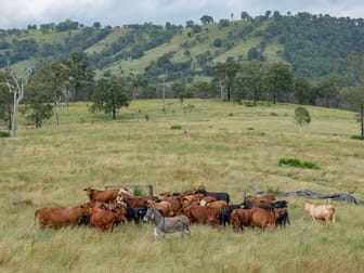 194 Bunburra Road Bunburra QLD 4310 - Image 3