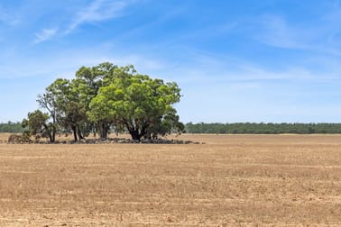 Lot 66 Cobb Highway Mathoura NSW 2710 - Image 2