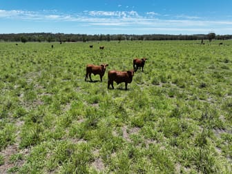 'Yengola' 166L Obley Road Dubbo NSW 2830 - Image 1