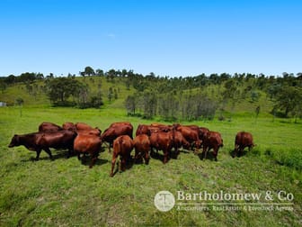 Cunningham Highway Clumber QLD 4309 - Image 2