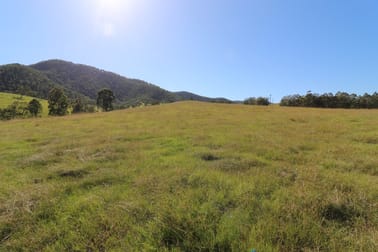 Lot 91/7986 Kempsey Rd Lower Creek NSW 2440 - Image 3