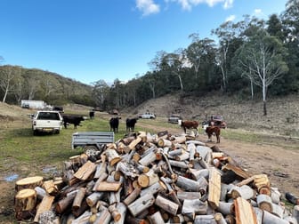 657 Newfoundland Road Bannaby NSW 2580 - Image 1