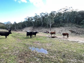 657 Newfoundland Road Bannaby NSW 2580 - Image 2