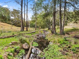Lot 1 Off Neringla Road Neringla NSW 2622 - Image 2
