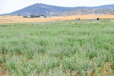 "Spring Creek" 126 Brooks Road Berridale NSW 2628 - Image 1
