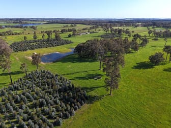 64 Gibellinis Road (Linfarne) Manjimup WA 6258 - Image 2