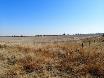 227 Filliponis Rd Coreen NSW 2646 - Image 3