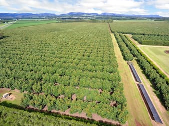 Tolga QLD 4882 - Image 3