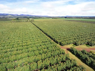 Tolga QLD 4882 - Image 2