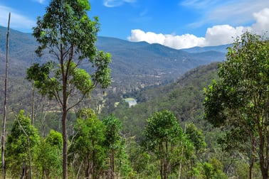 Lot 43 Bulldog Road Bulldog NSW 2469 - Image 1