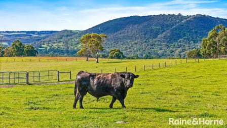 228 Hutchinson Road Hindmarsh Valley SA 5211 - Image 2