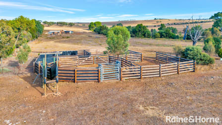 Lot 250 Wellington Road Woodchester SA 5255 - Image 1