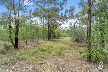 Site 8 Glendonbrook Road & Blind Creek Road Singleton NSW 2330 - Image 2