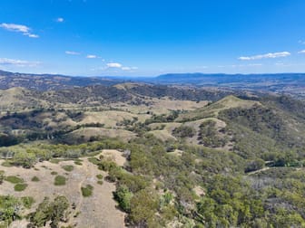 "Cooleen North" Bushs Creek Road Timor Via Murrurundi NSW 2338 - Image 3