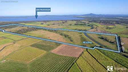 50 Parkinsons Lane Palmers Channel NSW 2463 - Image 3
