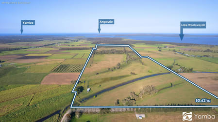 50 Parkinsons Lane Palmers Channel NSW 2463 - Image 1