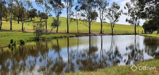 2745 Seymour-Tooborac Road Tooborac VIC 3522 - Image 1
