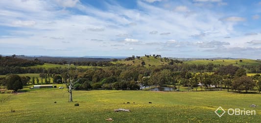 2745 Seymour-Tooborac Road Tooborac VIC 3522 - Image 2