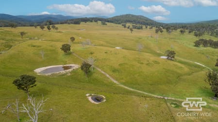1783 Tablelands Road Red Range NSW 2370 - Image 2