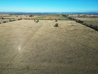 2136 Goolhi Road Gunnedah NSW 2380 - Image 2