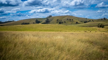 473 Eldriges Lane Taylors Flat NSW 2586 - Image 3