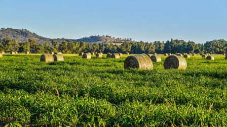 Maybrook 648 River Road Geurie NSW 2818 - Image 2