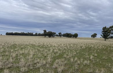 'East Gathan' 509 Gathan Road Deniliquin NSW 2710 - Image 1