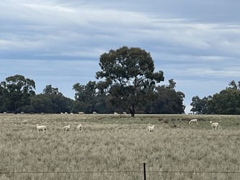 'East Gathan' 509 Gathan Road Deniliquin NSW 2710 - Image 2