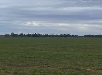 'East Gathan' 509 Gathan Road Deniliquin NSW 2710 - Image 3