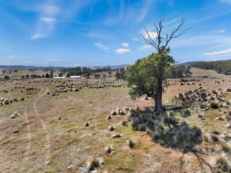 612 Lower Bendoc Road Bendoc VIC 3888 - Image 1